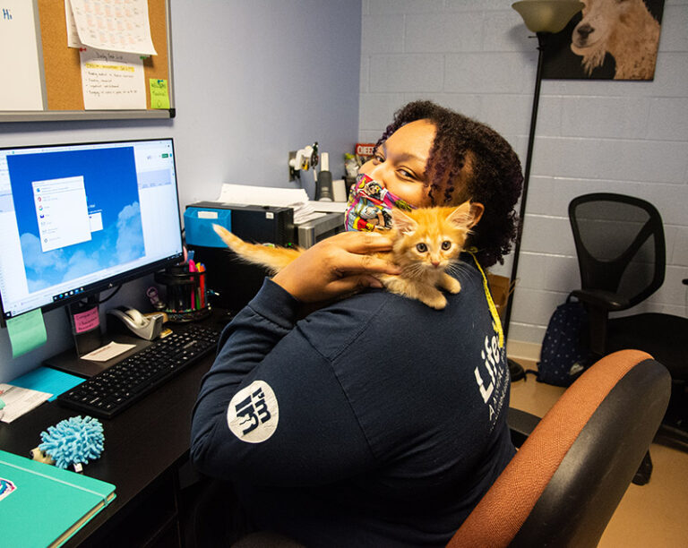 woman holding an orange kitten - Unleashing the Power of Data- Key Insights from 2022