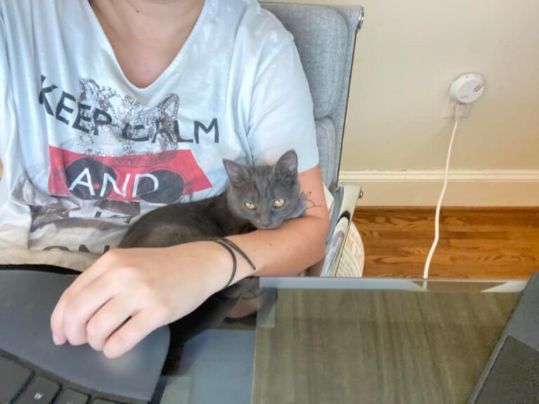 Woman holding cat - 8 Ways to Recruit Volunteers and Keep them Engaged