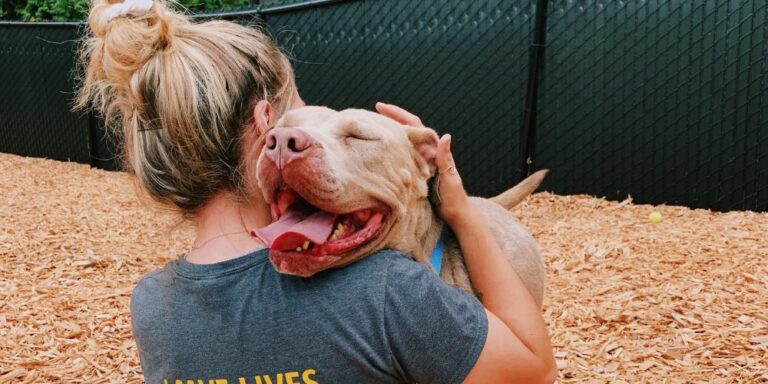 woman-hugging-pittie-Why-Is-It-So-Hard-to-Volunteer-to-Help-Pets